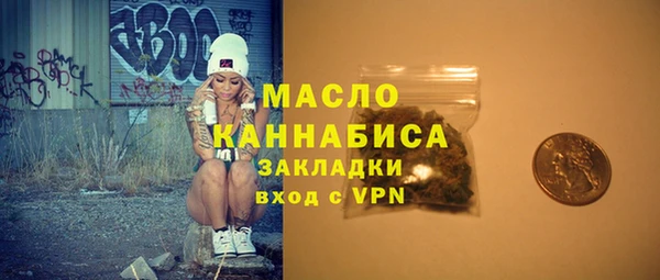 хмурый Верея