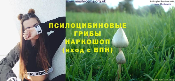 мяу мяу мука Волосово