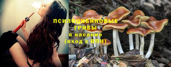 трава Волоколамск